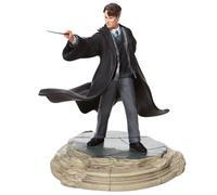 Enesco Wizarding World of Harry Potter Tom Riddle Figurine Figurine