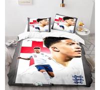 Enfunt-Home Duvet Cover Set Soft Lightweight Microfiber 3 Piece Bedding Set with 2 Pillowcase Kids Quilt Cover Closure Double 200 x 200 cm