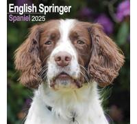 Eng Springer Spaniel (Euro) 2025 Square Wall Calendar | Dog Breed Calendar