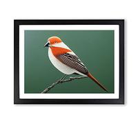 Engaging Bird Framed Print | A3 Black Framed Wall Art | Ready to Hang | Modern Nature Picture | Living Room Bedroom Lounge Office
