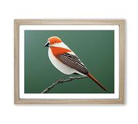 Engaging Bird Framed Print | A4 Oak Framed Wall Art | Ready to Hang | Modern Nature Picture | Living Room Bedroom Lounge Office