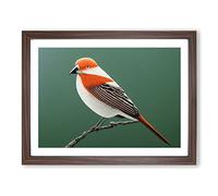 Engaging Bird Framed Print | A4 Walnut Framed Wall Art | Ready to Hang | Modern Nature Picture | Living Room Bedroom Lounge Office