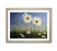 Engaging Daisy Flowers H1022 Framed Print for Living Room Bedroom Home Office Décor, Wall Art Picture Ready to Hang, Oak A4 Frame (34 x 25 cm)