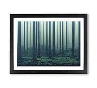 Engaging Forest Framed Print | A4 Black Framed Wall Art | Ready to Hang | Modern Landscape Picture | Living Room Bedroom Lounge Office
