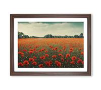 Engaging Poppy Field Flowers H1022 Framed Print for Living Room Bedroom Home Office Décor, Wall Art Picture Ready to Hang, Walnut A4 Frame (34 x 25 cm)