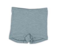 Engel Natur Women's Panties, 70% Organic Merino Virgin Wool, 30% Silk, Mountain blue, 46-48