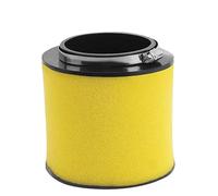 Engine air filter Motorcycle Air Filter For H-ONDA TRX650FA TRX650FA3 TRX650FA4 TRX650FA5 TRX650FGA SXS500M2 TRX500F TRX500PG A Rincon For Pioneer