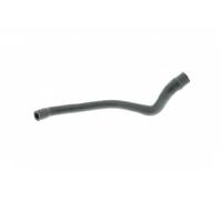 VAICO V30-2536 Rocker cover breather pipe