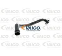 VAICO V10-9766 Hose, cylinder head cover breather