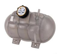 Engine Coolant Reservoir Tank with Cap Compatible with 2015 to 2023 OEM FR3Z8A080A Grey Plastic Replacement for All Engine Variants Direct