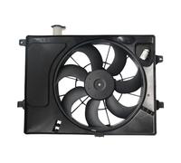 Engine Cooling Fan Fits Hyundai Kia HELLA 8EW 366 421-091