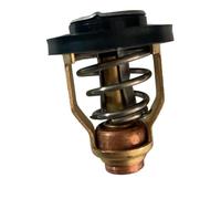 Engine Cooling Thermostat Compatible With Outboard Motors 3-225HP 60℃ Fits Models Using 19300-ZW9-003 19300-ZY3-023 Replacement For Propeller Mounted Motor Parts