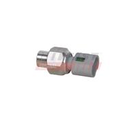 Engine Electrics FAST FT59174 for DACIA FORD OPEL RENAULT