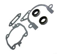 Engine Gasket Kit with Oil Seal for Rebuilding For TS410 TS420 Units and Supporting Part Numbers 4238 007 1003 2489