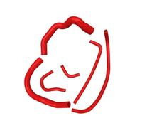 Engine Hoses Compatible with Jeep for Cherokee XJ 4.0L 6 Cylinder 1991-1995 1996 1997 1998 1999 2000 2001 Radiator Coolant Hose Upper Lower Pipe(Red,Size 6pcs)