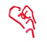 Engine Hoses Compatible with Peugeot 106 for GTI 1996 1997 1998 1999 2000 2001 2002 2003 2004 16V for VTS TU5J4 Engine Radiator Coolant Water Hose(Red)