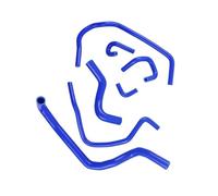 Engine Hoses Compatible with Prelude BB6 BB8 H22A SIR for Type-S for VTI 1997 1998 1999 2000 2001 Silicone Engine Pipe Radiator Heater Hose Kit