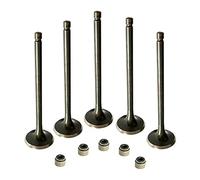 Engine Intake and Exhaust Valve Kit With seal for Yamaha Raptor 660R 2001~2005 Yamaha Grizzly 660 2002-2008 RHINO 660 2004-2007 HiSun Bennche Massimo MSU UTV700 750
