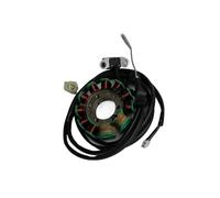 Engine magneto stator coil 11-coil Magneto Stator For Motorcycle 253FMM For Rebel CA250 CMX250 Barracuda Tank Vision Baja Phoenix DD250 FYM FY250