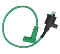Engine magneto stator coil For 50cc-250cc Dirt Pit Bike Moped ATV Go Kart Quad Buggy Replacement CDI Accessories Igniter Motorcycle BOX Ignition Coil(Green)