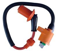 Engine magneto stator coil For Foreman 400 450 TRX400 For FourTrax CDI Igniter Module Box Ignitor Ignition Motorcycle BOX Coil 6 Pin Kit(2)