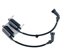 Engine magneto stator coil For GW250 GW250S GW250F GW 250cc Spare Parts Module Box Ignitor CDI Motorcycle BOX Igniter Ignition Coil Pack Spark Cap(Letf and Right)