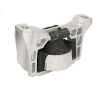 DELPHI TEM131 Engine mount