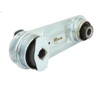 Engine mou REINHOCH RH11-2163 for RENAULT VEL SATIS (BJ0_) 2 2006-2009