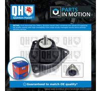 QUINTON HAZELL EM4234 Engine mount