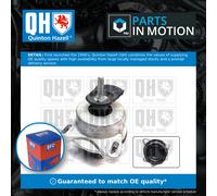 Quinton Hazell EM4763 Engine Mounting