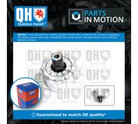 Engine Mount fits FIAT MULTIPLA 186 1.9D Front Lower, Right 99 to 10 Mounting QH