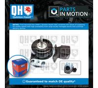 Engine Mount EM4652 Quinton Hazell Mounting 8200022596 4403351 9111351 Quality