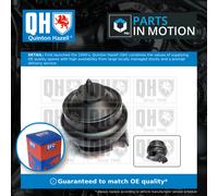 Engine Mount Front Lower, Left EM1827 Quinton Hazell Mounting 191199279B Quality
