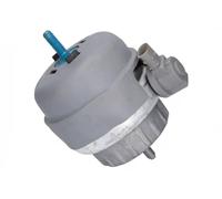 MOUNTING ENGINE 37574 FOR AUDI A6/Allroad/S6 BYU/AUK/BKH 3.1L CAJACDYC 3.0L 6cyl
