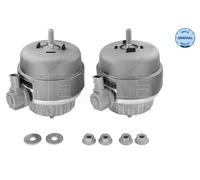 MEYLE 100 199 3004/S Engine mount