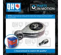 QUINTON HAZELL EM4713 Engine mount