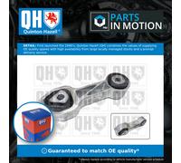 Engine Mount Rear EM4781 Quinton Hazell Mounting 51877241 51953643 Quality New