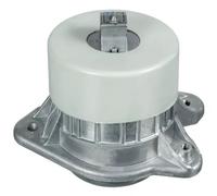 SWAG 10 10 4243 Engine mount