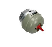 MAXGEAR 40-0302 Engine Mounting for AUDI