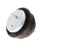 VAICO V20-1023 Engine mount