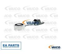 Engine Mounting for SEAT CORDOBA IBIZA TOLEDO VAICO V10-1632 fits Rear