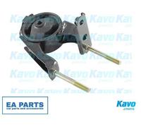 Engine Mounting for TOYOTA ECHO YARIS VERSO VAN KAVO PARTS EEM-9099 fits Rear