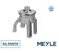 Engine Mounting for VW CALIFORNIA T5 Camper MEYLE 100 199 0147 fits Rear NEW