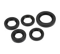 Engine Oil Kit Premium Rubber Oil 5 Piece Set for 4 Stroke GY6 49cc Scooter Moped Engine Transmission Rebuild Replacements with 19.8x30x5mm 17x30x6mm 20x32x7mm 27x42x7mm Seals