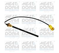 Engine Oil Level Sensor Fits PEUGEOT Boxer Van 06- 1131E9