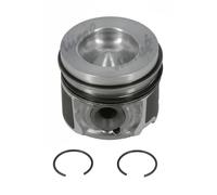 NÜRAL 87-453100-00 Piston