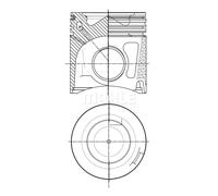 MAHLE 007 PI 00150 000 Piston