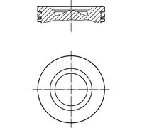 MAHLE 007 PI 00170 000 Piston