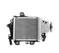 Engine Radiator For Honda PCX 125 PCX125 12-17