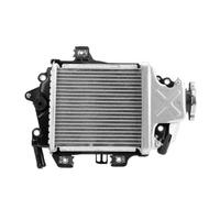 Engine Radiator For Honda PCX125 12-17 SH125 13-19 Fluid Cooler